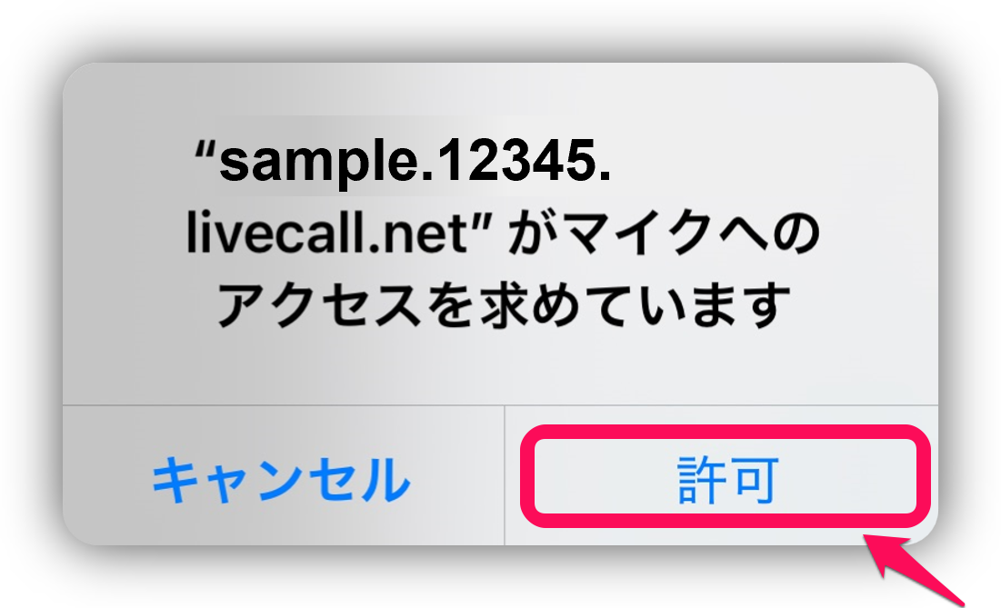 iOS Safari許可.png
